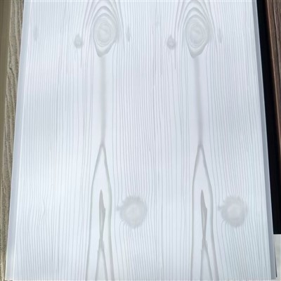 Environmentally Friendly PVC Ceiling Panel